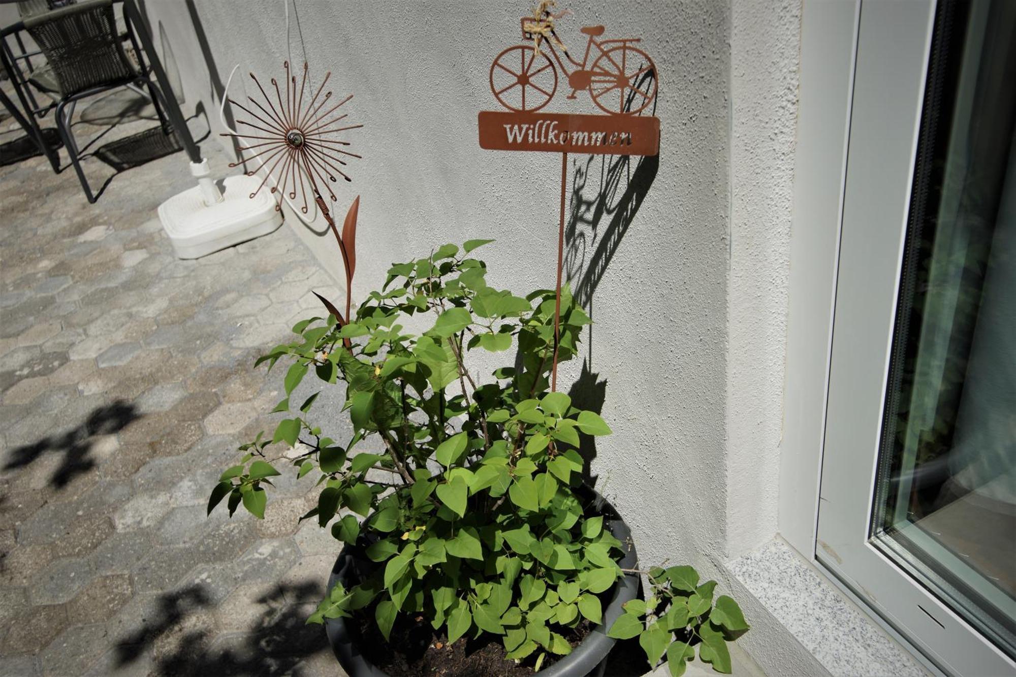 Mill Valley * Koblenz (Rhineland-Palatinate)